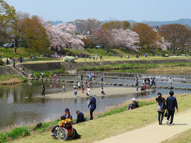桜咲く賀茂川と半木(なからぎ)の道20190407_e0237645_23432695.jpg
