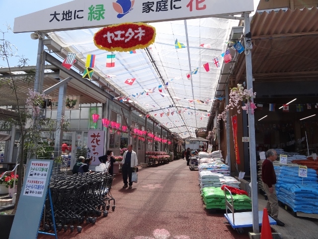b0181748_00164732.jpg