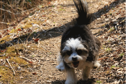 c0145250_09221560.gif