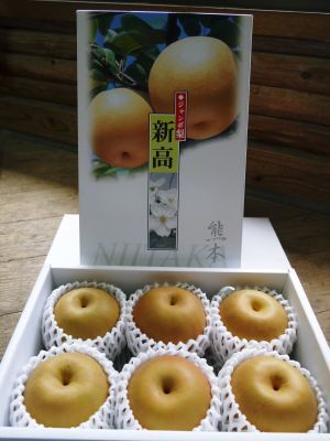熊本梨 岩永農園 咲き誇る梨の花とミツバチによる交配(受粉)2019_a0254656_18281628.jpg