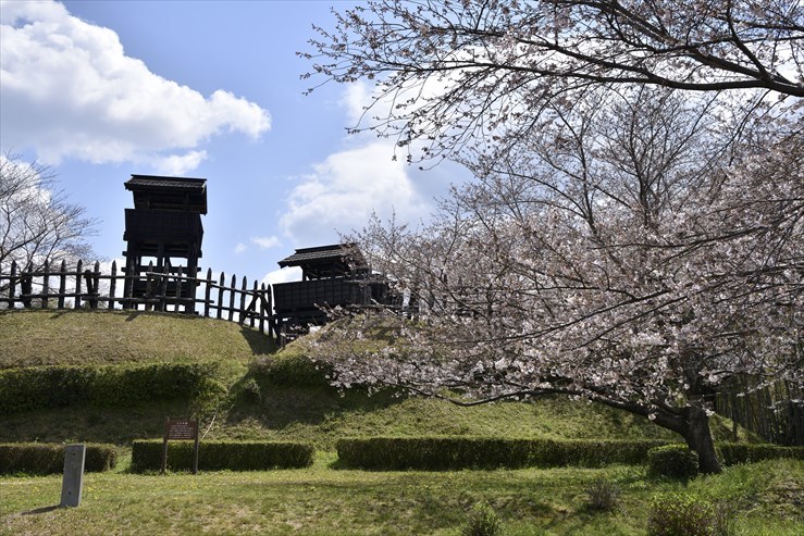 古城公園（東条城跡）_e0170058_19120853.jpg