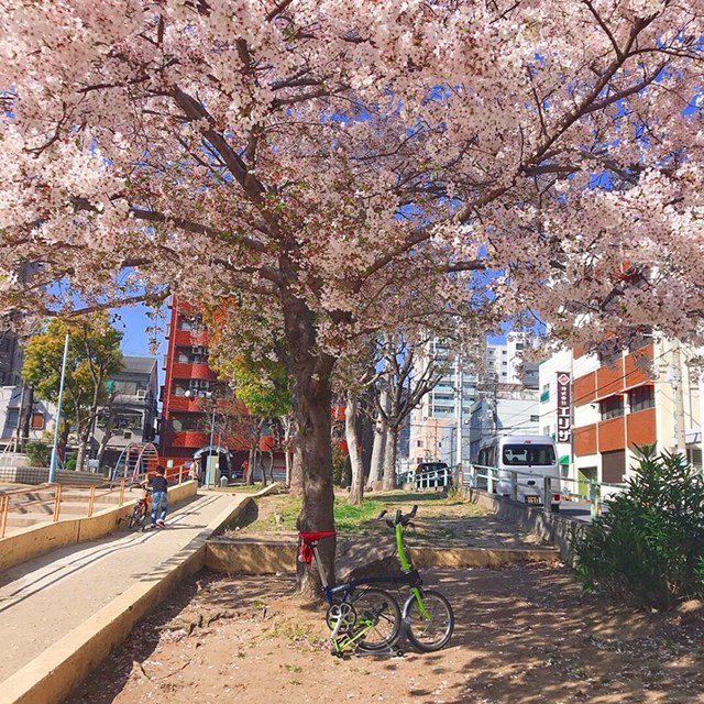 BROMPTONを持って大阪に遊びに行って来ました☆彡_d0197762_11090108.jpeg