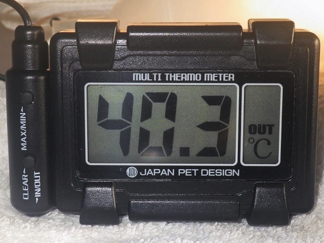 c0105569_01363373.jpg