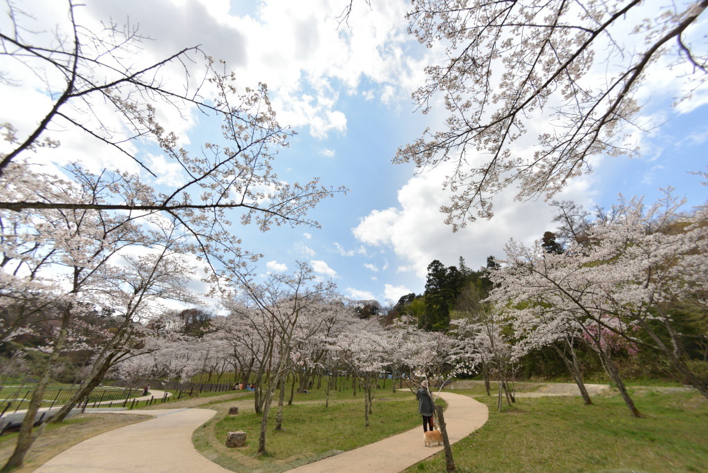 卯辰山公園四百年の森 2019_f0393670_22132502.jpg