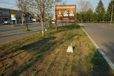 b0171771_11003987.jpg