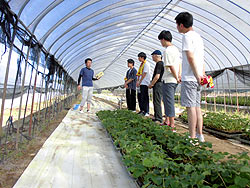 a0208976_1631848.jpg