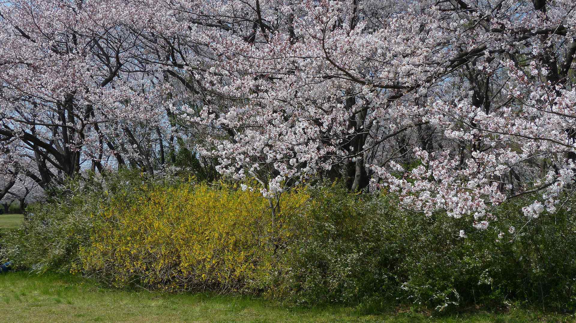a0185081_01091491.jpg