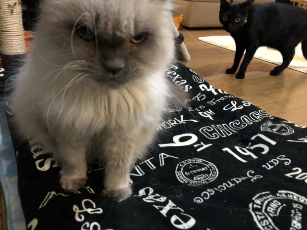 b0377882_18212789.jpeg