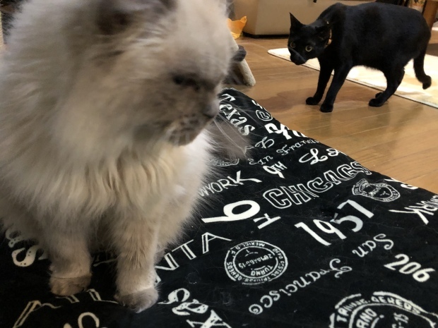 b0377882_18213820.jpeg