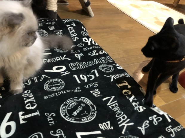 b0377882_18214768.jpeg