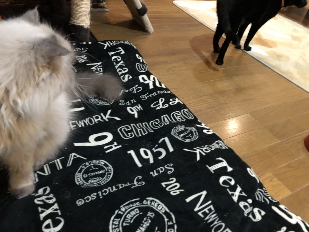 b0377882_18215683.jpeg