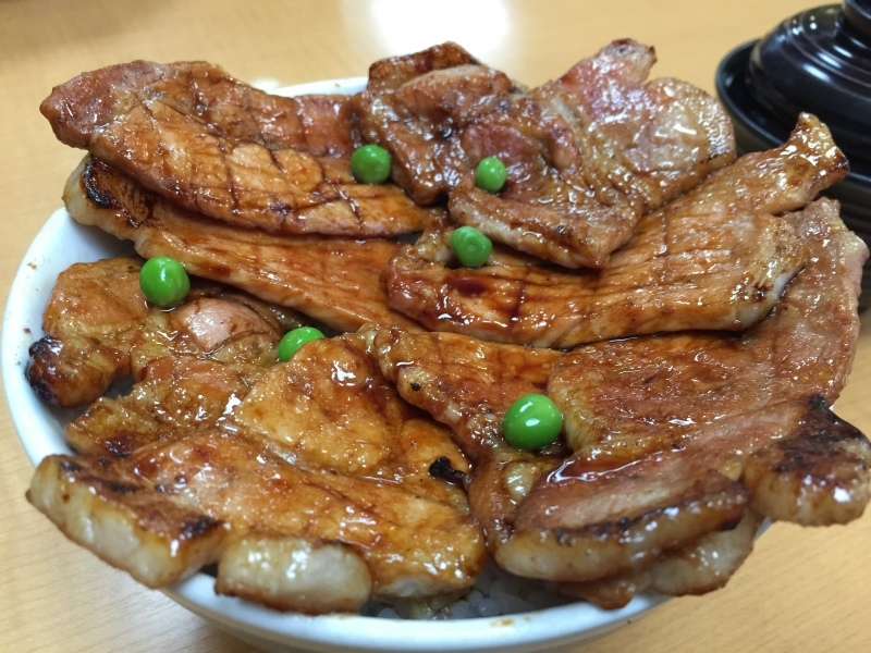 再び北の大地へ_f0310282_18011186.jpeg
