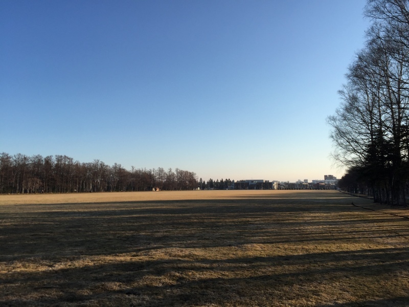 再び北の大地へ_f0310282_18021082.jpeg