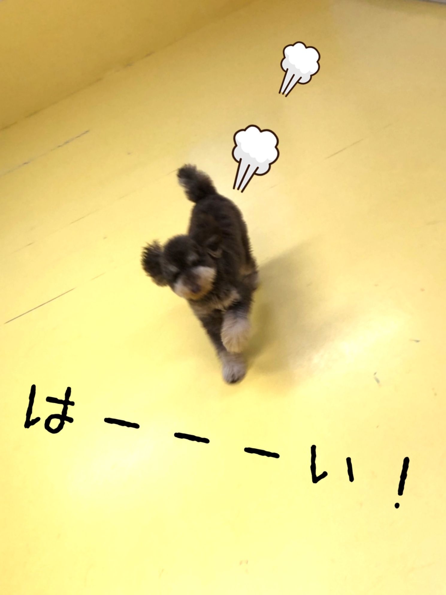トレーニングブログ_f0357682_20364635.jpeg