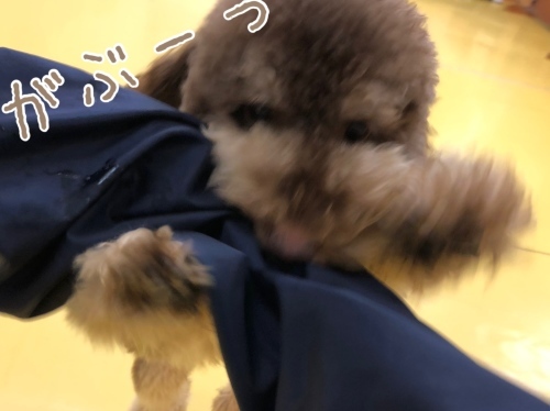 トレーニングブログ_f0357682_20371976.jpeg