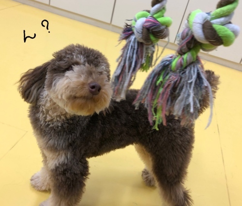 トレーニングブログ_f0357682_20380261.jpeg