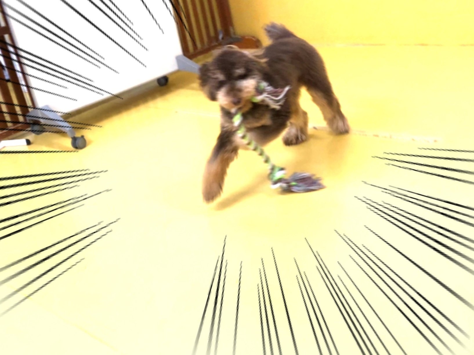 トレーニングブログ_f0357682_20381413.jpeg