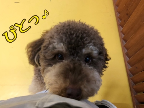 トレーニングブログ_f0357682_20412322.jpeg