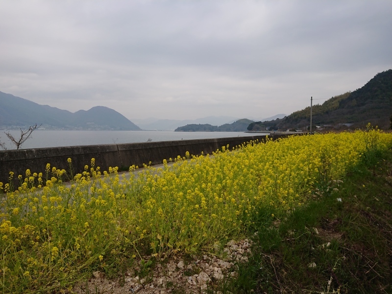 f0377482_00225274.jpg