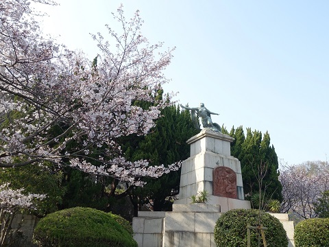 4/6須磨浦公園の桜・七分咲き_d0076283_01025277.jpg