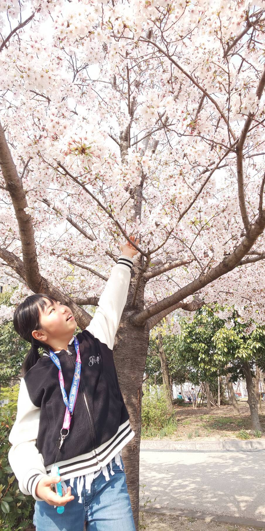 お花見&#127800;_d0178587_19302013.jpeg