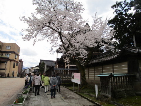a0104890_21010950.jpg