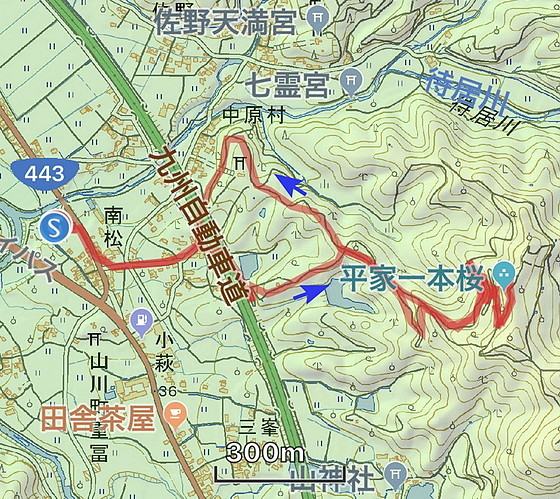 e0176993_10151485.jpg
