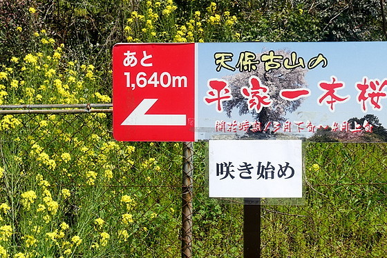 e0176993_10151547.jpg