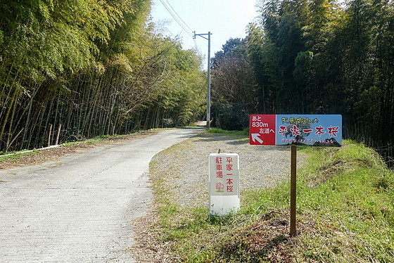 e0176993_10151567.jpg