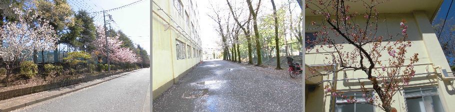 b0159896_06211796.jpg