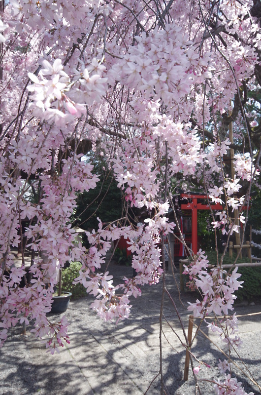 c0382798_07372232.jpg