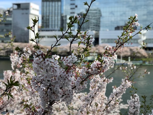 新旧の優しさ。_a0050302_00531180.jpg