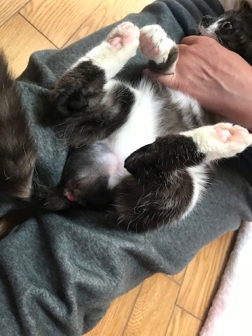 つくしちゃんはあともう少し!_f0242002_16343653.jpg