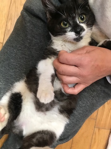 つくしちゃんはあともう少し!_f0242002_16344290.jpg