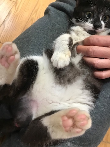 つくしちゃんはあともう少し!_f0242002_16344774.jpg