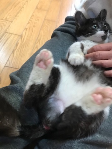 つくしちゃんはあともう少し!_f0242002_16345633.jpg