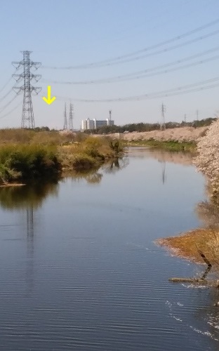 e0018604_17411189.jpg