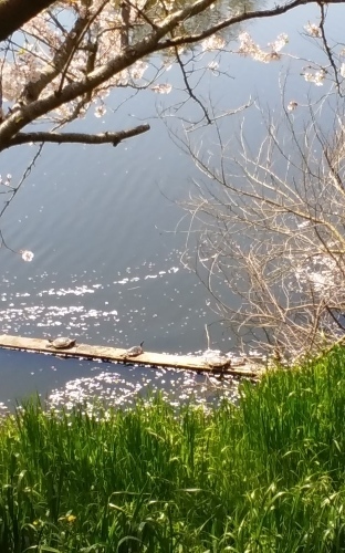 e0018604_17423183.jpg