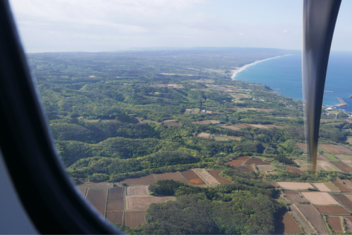 d0147406_10590200.jpg