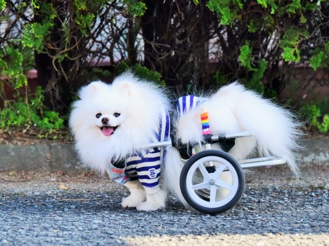 解禁日_d0360206_00125186.jpg
