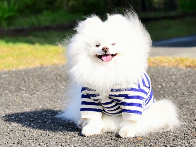 解禁日_d0360206_00131622.jpg