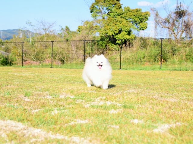 解禁日_d0360206_00132759.jpg