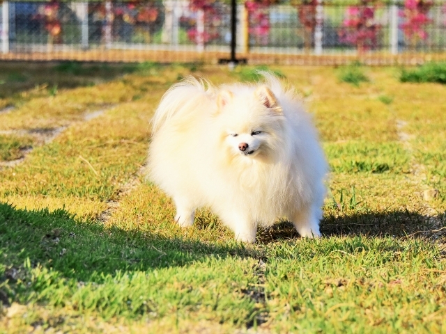 解禁日_d0360206_00133302.jpg