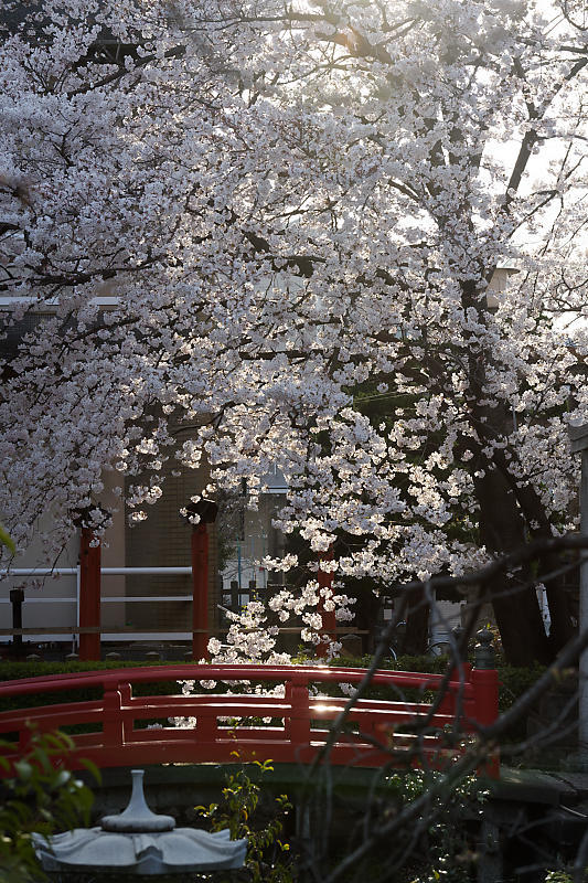 f0032011_20544672.jpg