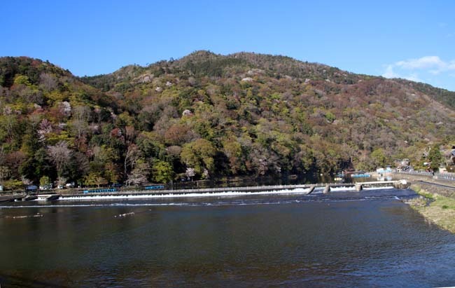嵐山天龍寺　咲き納め_e0048413_20535007.jpg