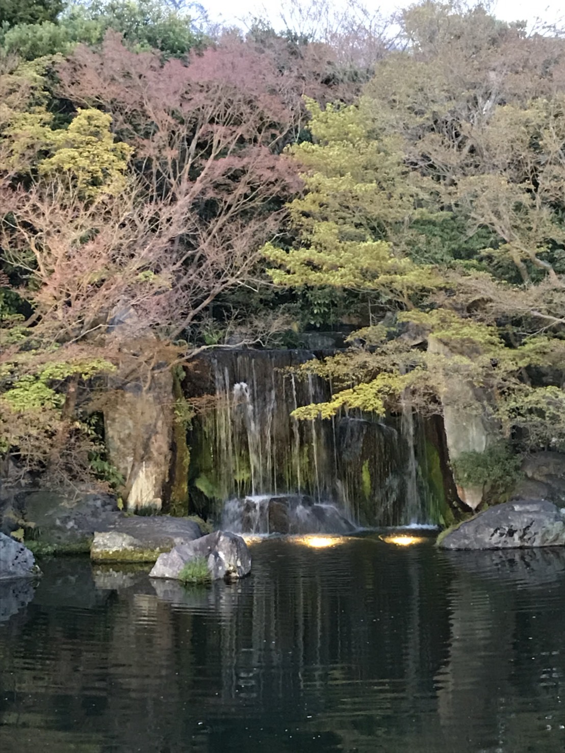 d0184114_07331460.jpeg