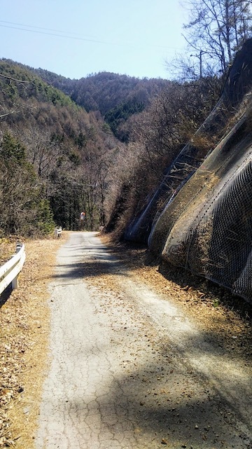 有賀峠越え二回（長野県道50号・442号）_b0113219_23214817.jpg