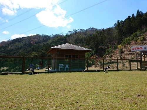 e0179321_19135265.jpg