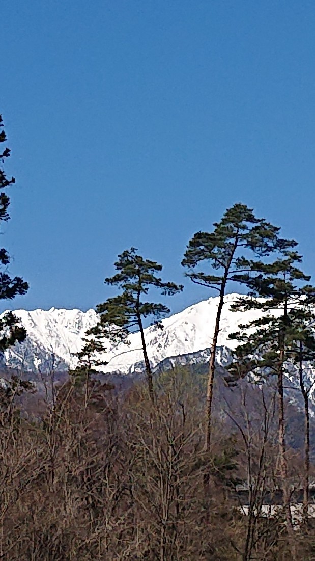 a0270125_15545209.jpg