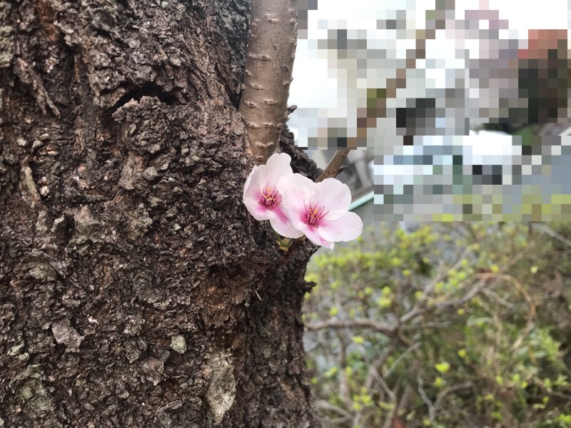 f0067528_19532313.jpeg